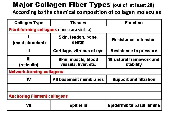Major Collagen Fiber Types (out of at least 20) According to the chemical composition