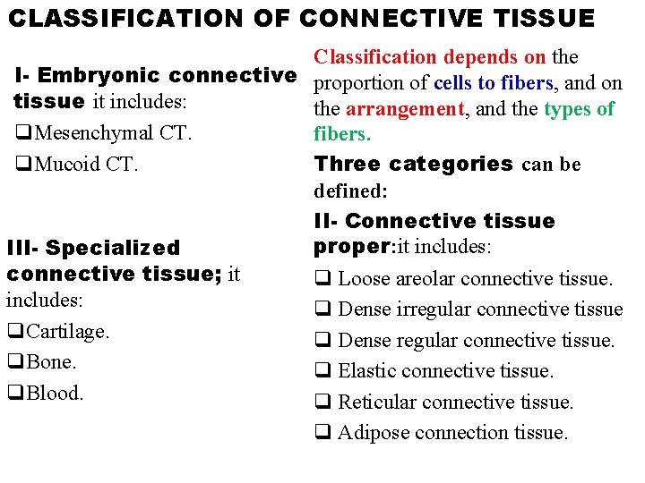 CLASSIFICATION OF CONNECTIVE TISSUE Classification depends on the I- Embryonic connective proportion of cells