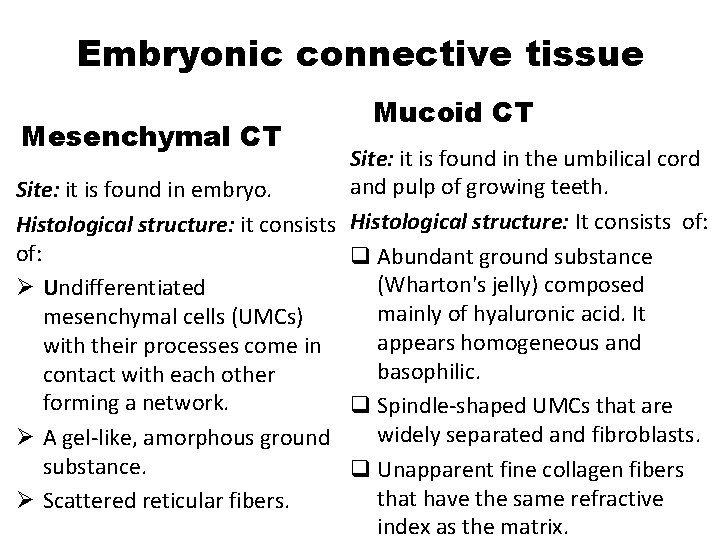Embryonic connective tissue Mesenchymal CT Mucoid CT Site: it is found in the umbilical