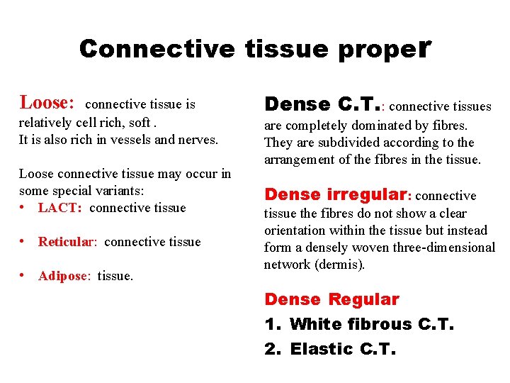 Connective tissue proper Loose: connective tissue is relatively cell rich, soft. It is also