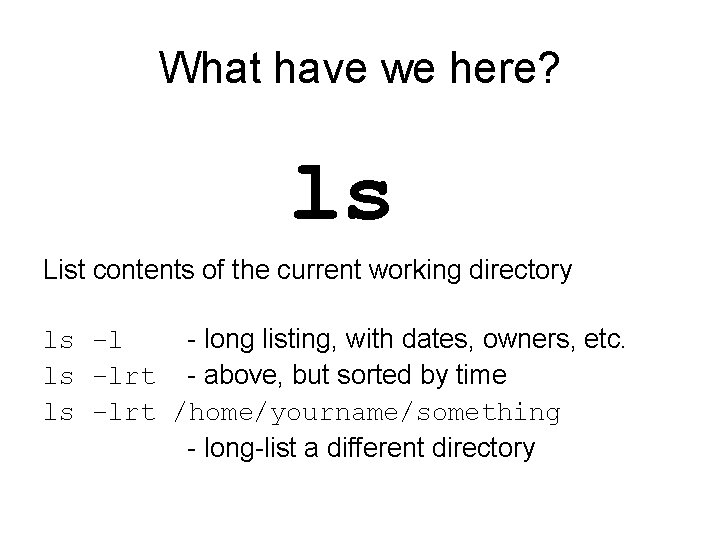 What have we here? ls List contents of the current working directory ls –l