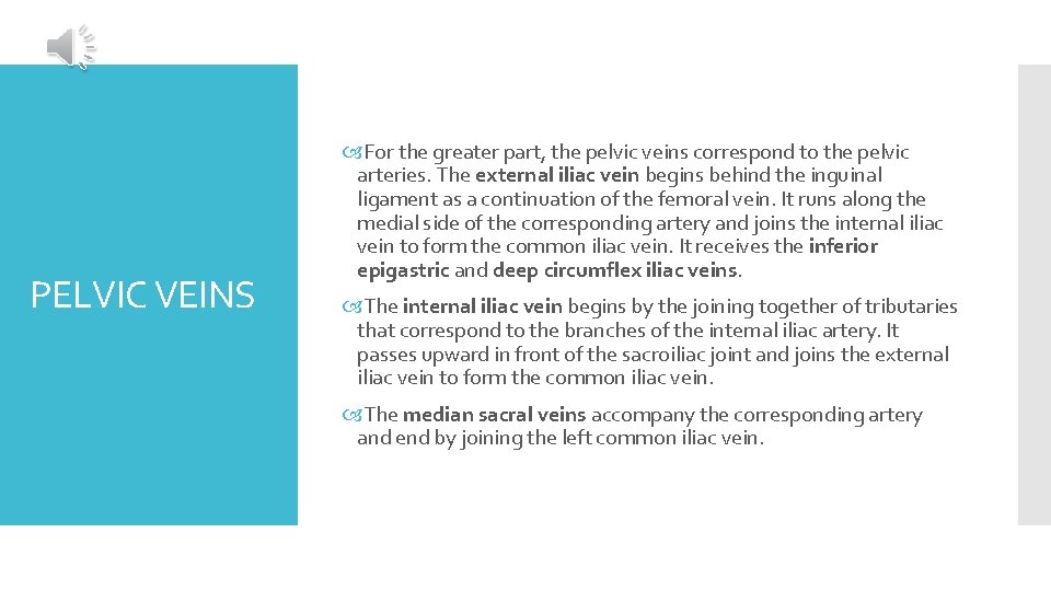 PELVIC VEINS For the greater part, the pelvic veins correspond to the pelvic arteries.