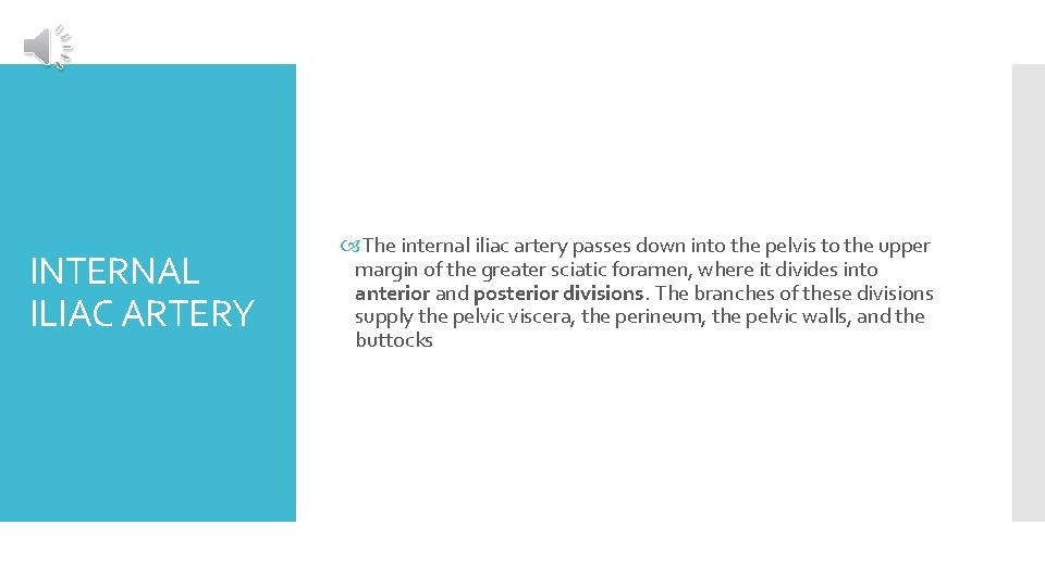 INTERNAL ILIAC ARTERY The internal iliac artery passes down into the pelvis to the