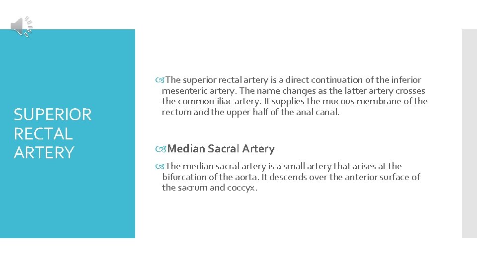 SUPERIOR RECTAL ARTERY The superior rectal artery is a direct continuation of the inferior