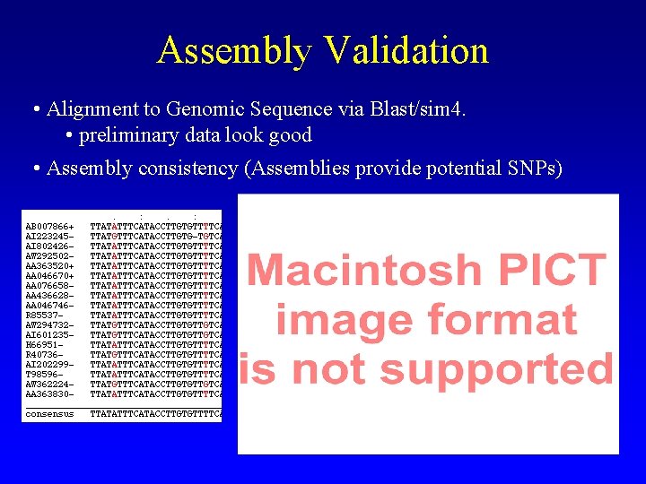 Assembly Validation • Alignment to Genomic Sequence via Blast/sim 4. • preliminary data look Assembly Validation • Alignment to Genomic Sequence via Blast/sim 4. • preliminary data look