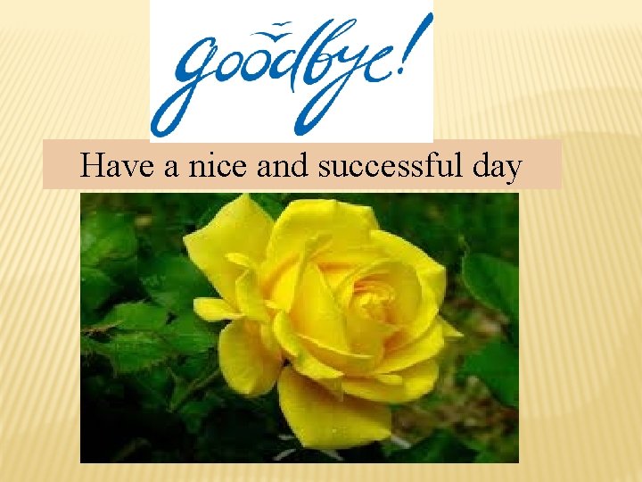 Have a nice and successful day 