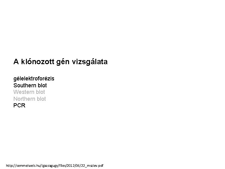 A klónozott gén vizsgálata gélelektroforézis Southern blot Western blot Northern blot PCR http: //semmelweis.