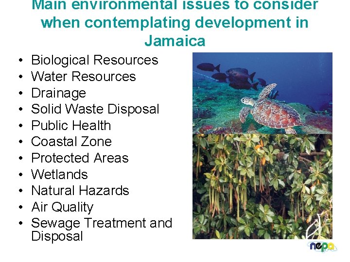 Main environmental issues to consider when contemplating development in Jamaica • • • Biological