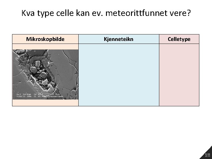 Kva type celle kan ev. meteorittfunnet vere? Mikroskopbilde Kjenneteikn Celletype 18 