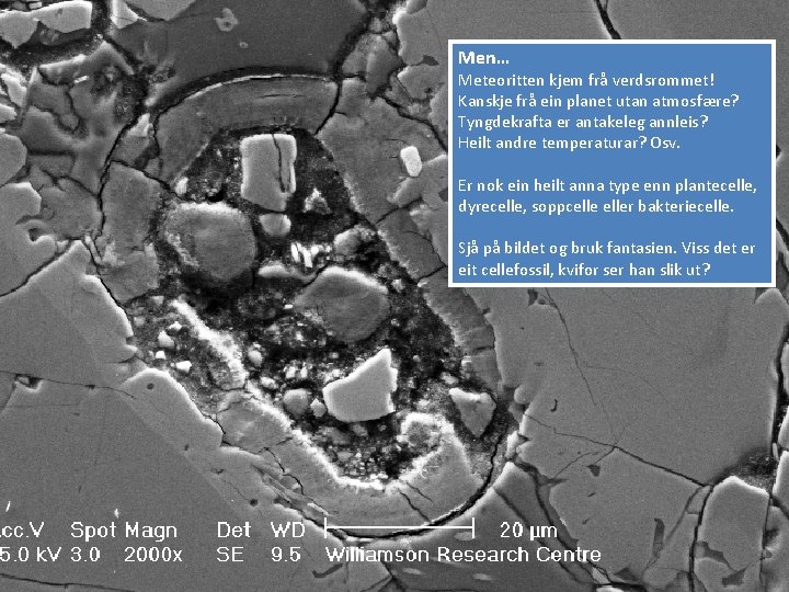 Men… Meteoritten kjem frå verdsrommet! Kanskje frå ein planet utan atmosfære? Tyngdekrafta er antakeleg