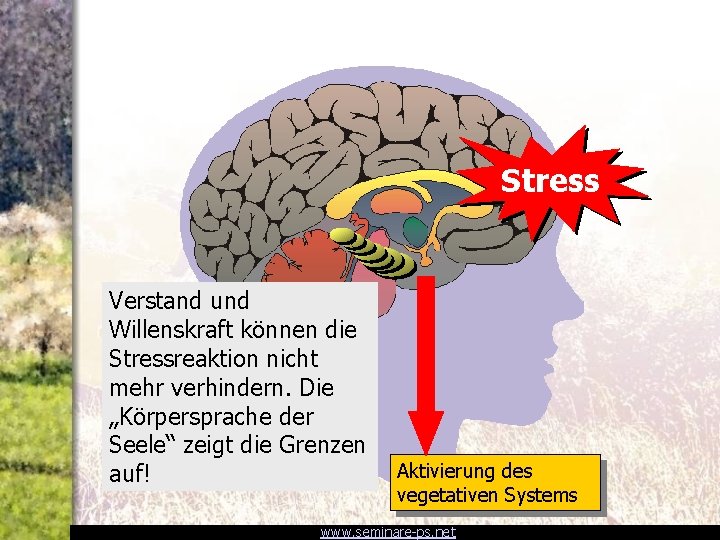 Stress Verstand und Willenskraft können die Stressreaktion nicht mehr verhindern. Die „Körpersprache der Seele“