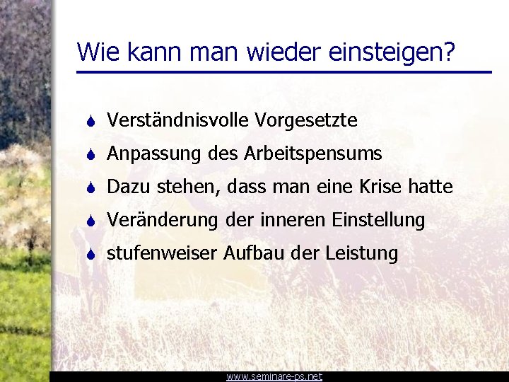 Wie kann man wieder einsteigen? S Verständnisvolle Vorgesetzte S Anpassung des Arbeitspensums S Dazu