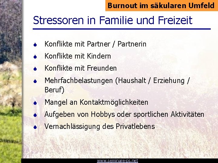 Burnout im säkularen Umfeld Stressoren in Familie und Freizeit S Konflikte mit Partner /