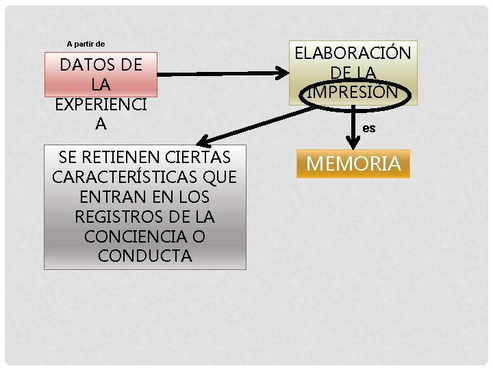 A partir de DATOS DE LA EXPERIENCI A SE RETIENEN CIERTAS CARACTERÍSTICAS QUE ENTRAN