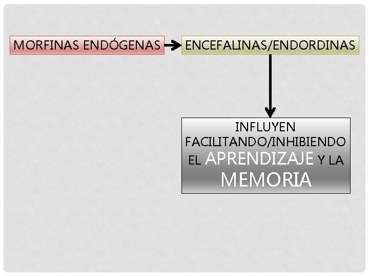 MORFINAS ENDÓGENAS ENCEFALINAS/ENDORDINAS INFLUYEN FACILITANDO/INHIBIENDO EL APRENDIZAJE Y LA MEMORIA 