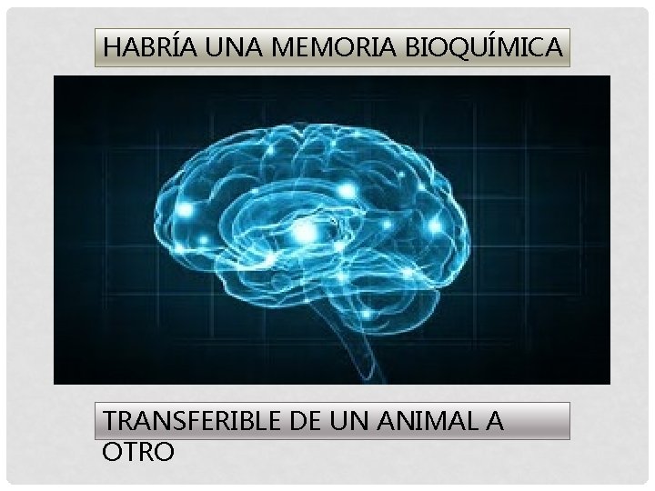 HABRÍA UNA MEMORIA BIOQUÍMICA TRANSFERIBLE DE UN ANIMAL A OTRO 