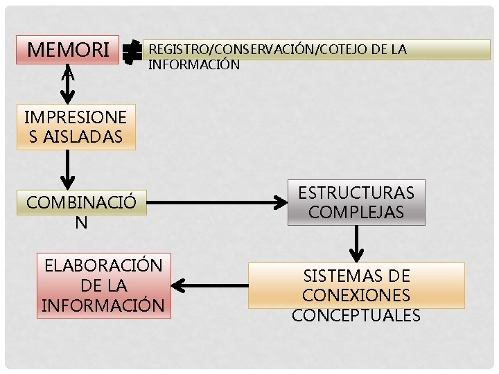 MEMORI A REGISTRO/CONSERVACIÓN/COTEJO DE LA INFORMACIÓN IMPRESIONE S AISLADAS COMBINACIÓ N ELABORACIÓN DE LA