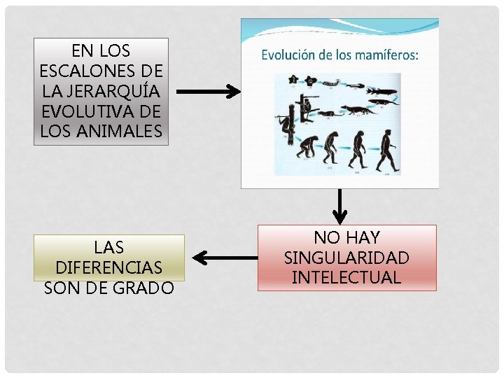 EN LOS ESCALONES DE LA JERARQUÍA EVOLUTIVA DE LOS ANIMALES LAS DIFERENCIAS SON DE