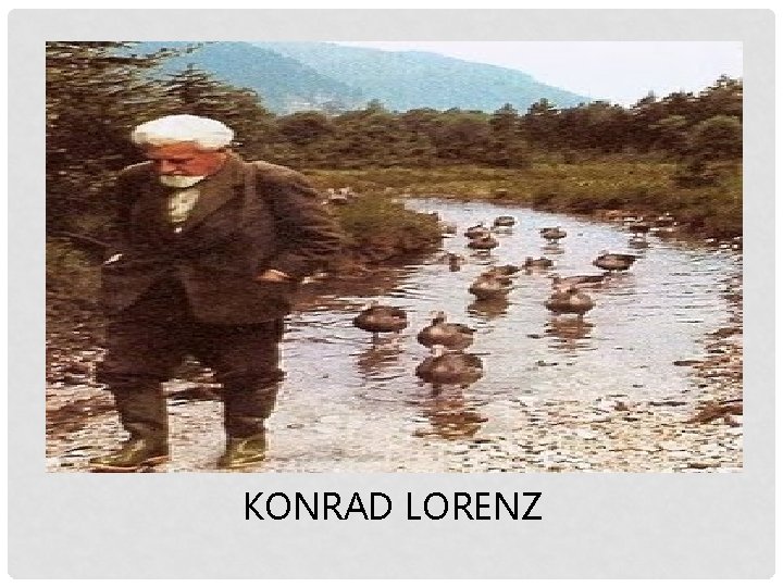 KONRAD LORENZ 