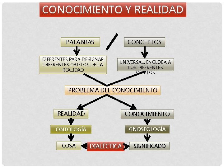 CONOCIMIENTO Y REALIDAD PALABRAS DIFERENTES PARA DESIGNAR DIFERENTES OBJETOS DE LA REALIDAD CONCEPTOS UNIVERSAL.