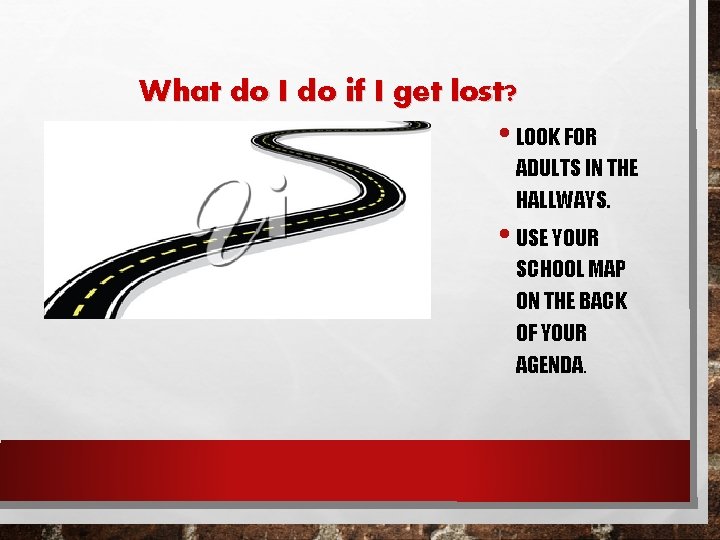 What do I do if I get lost? • LOOK FOR ADULTS IN THE