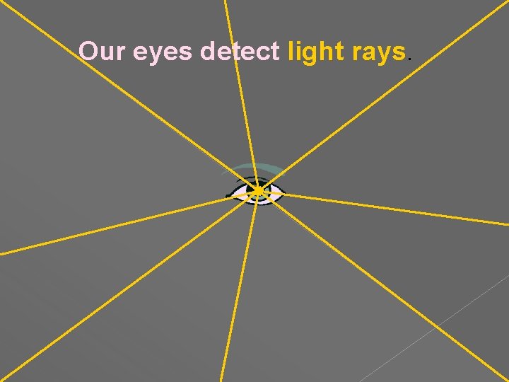 Our eyes detect light rays. 