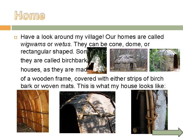 Home Have a look around my village! Our homes are called wigwams or wetus.