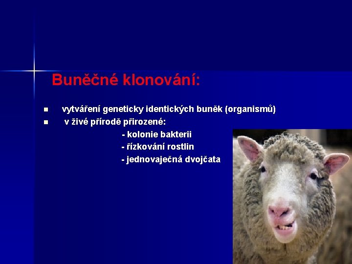 Buněčné klonování: n n vytváření geneticky identických buněk (organismů) v živé přírodě přirozené: -