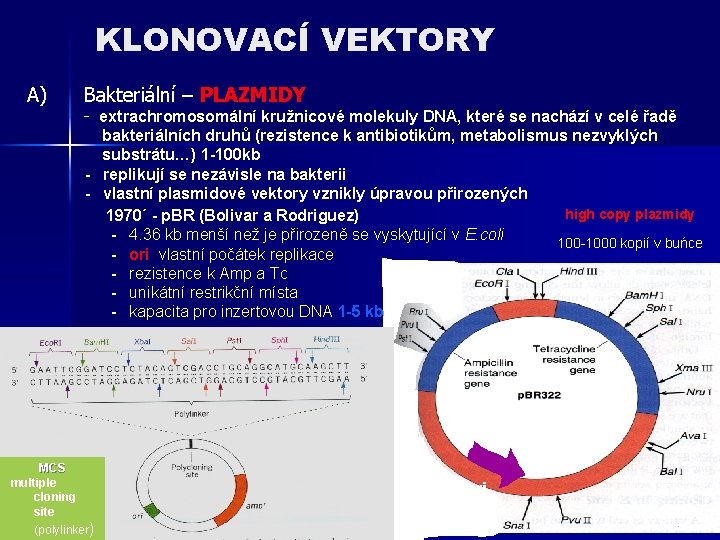 KLONOVACÍ VEKTORY A) Bakteriální – PLAZMIDY - extrachromosomální kružnicové molekuly DNA, které se nachází