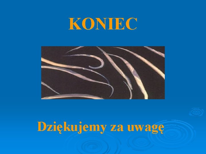 KONIEC Dziękujemy za uwagę 