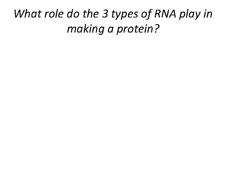 What role do the 3 types of RNA play in making a protein? 