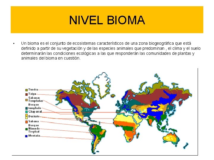 NIVEL BIOMA • Un bioma es el conjunto de ecosistemas característicos de una zona