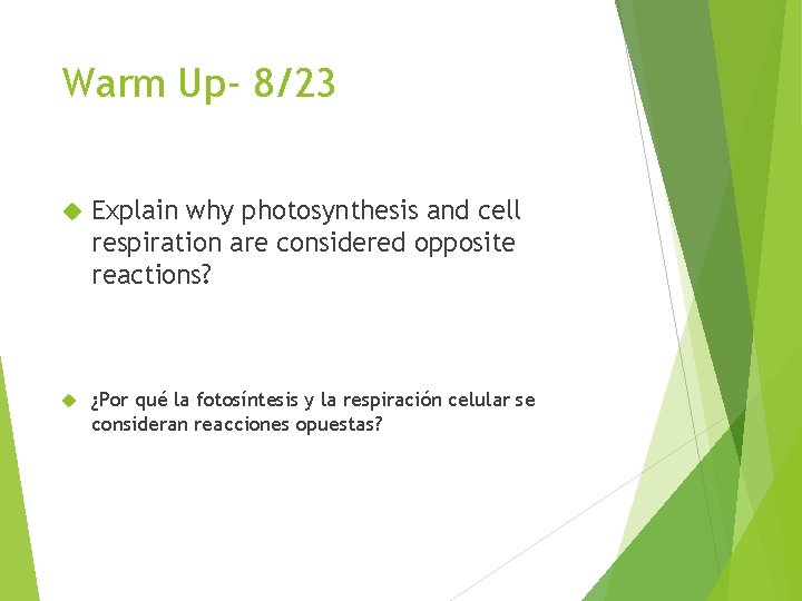 Warm Up- 8/23 Explain why photosynthesis and cell respiration are considered opposite reactions? ¿Por