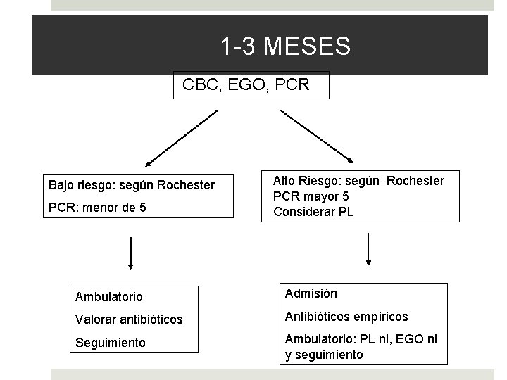 1 -3 MESES CBC, EGO, PCR Bajo riesgo: según Rochester PCR: menor de 5