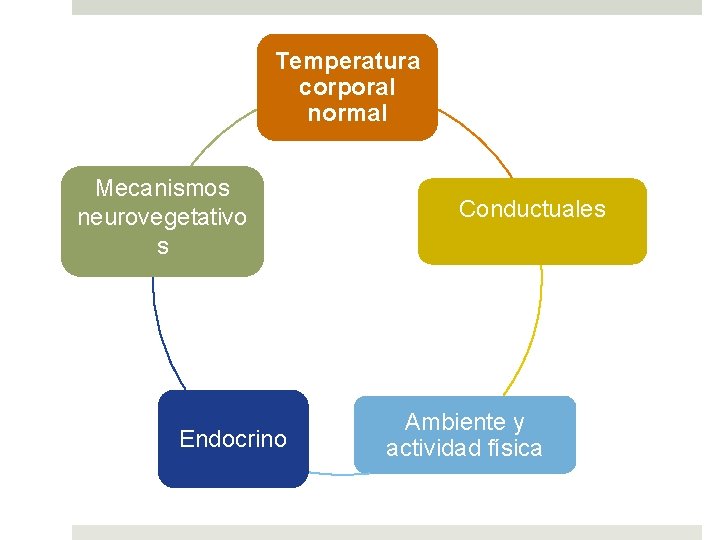 Temperatura corporal normal Mecanismos neurovegetativo s Endocrino Conductuales Ambiente y actividad física 