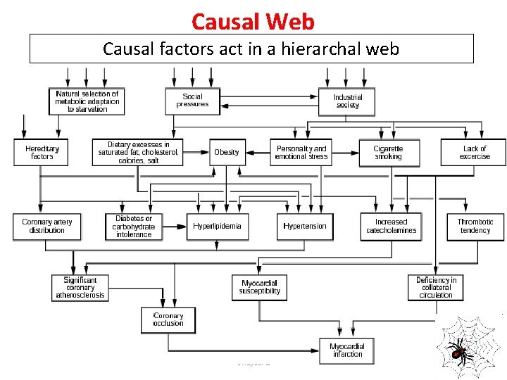 Causal Web Causal factors act in a hierarchal web Chapter 2 3 