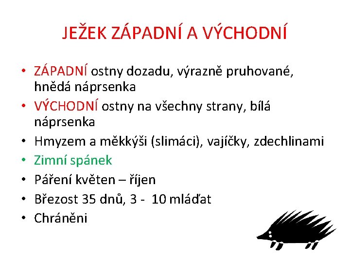 JEŽEK ZÁPADNÍ A VÝCHODNÍ • ZÁPADNÍ ostny dozadu, výrazně pruhované, hnědá náprsenka • VÝCHODNÍ