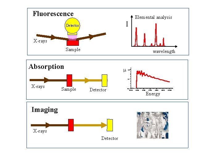 Fluorescence Elemental analysis I Detector X-rays Sample wavelength Absorption m 2. 0 1. 0