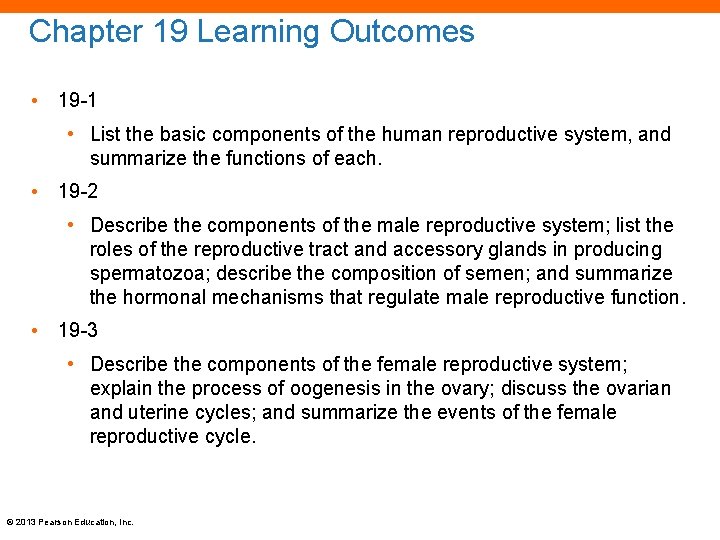 Chapter 19 Learning Outcomes • 19 -1 • List the basic components of the