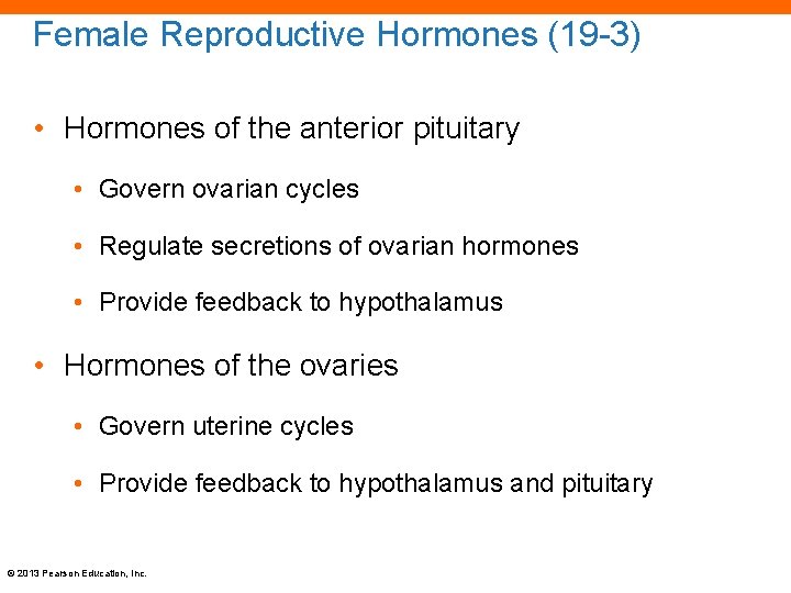 Female Reproductive Hormones (19 -3) • Hormones of the anterior pituitary • Govern ovarian