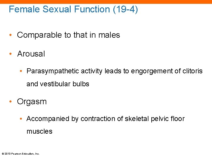 Female Sexual Function (19 -4) • Comparable to that in males • Arousal •