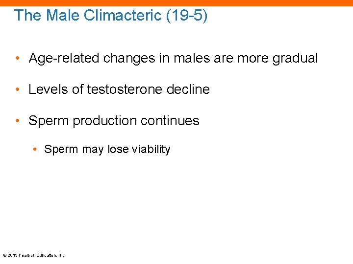 The Male Climacteric (19 -5) • Age-related changes in males are more gradual •