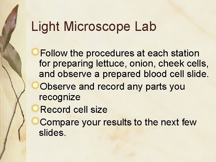 Light Microscope Lab Follow the procedures at each station for preparing lettuce, onion, cheek