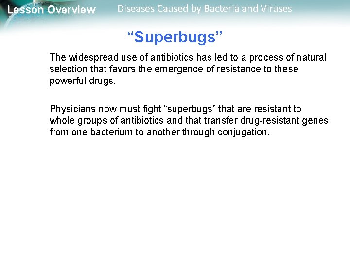 Lesson Overview Diseases Caused by Bacteria and Viruses “Superbugs” The widespread use of antibiotics