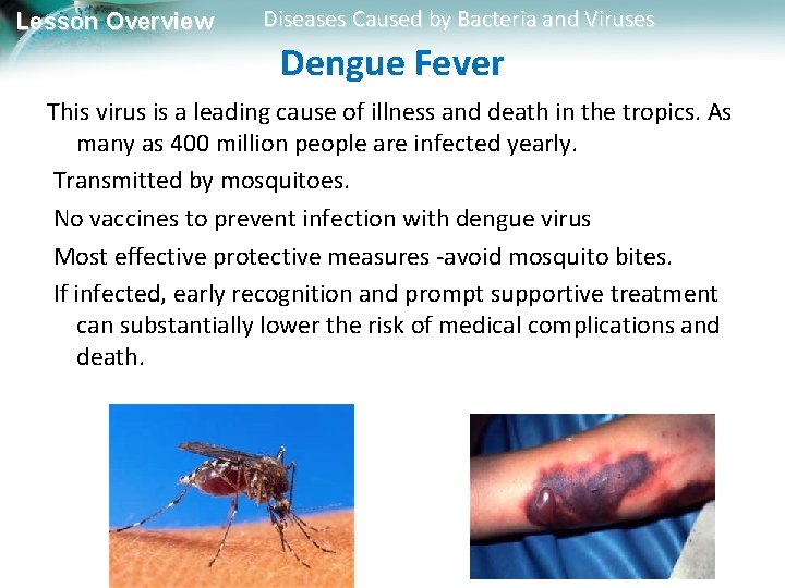 Lesson Overview Diseases Caused by Bacteria and Viruses Dengue Fever This virus is a
