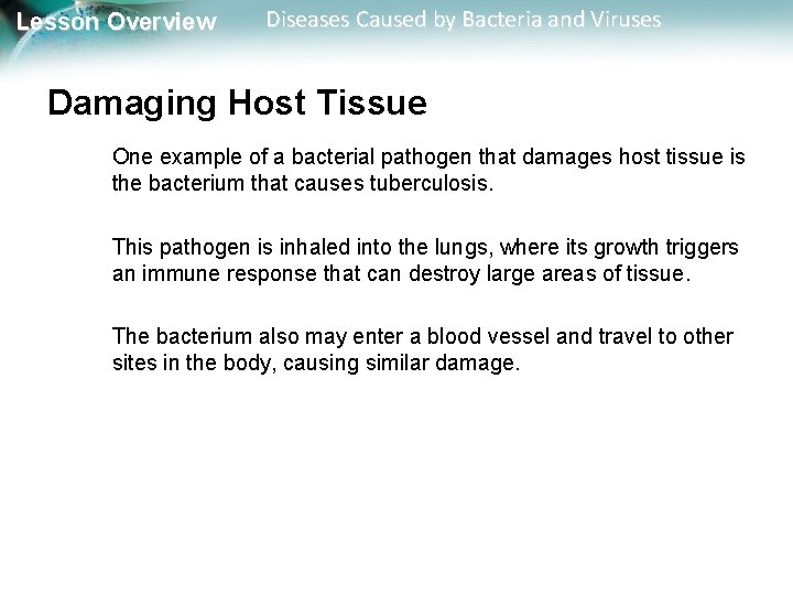 Lesson Overview Diseases Caused by Bacteria and Viruses Damaging Host Tissue One example of
