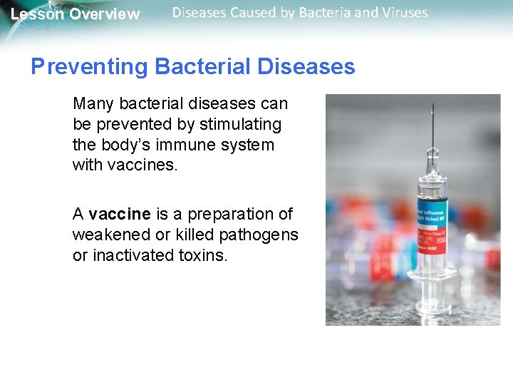 Lesson Overview Diseases Caused by Bacteria and Viruses
