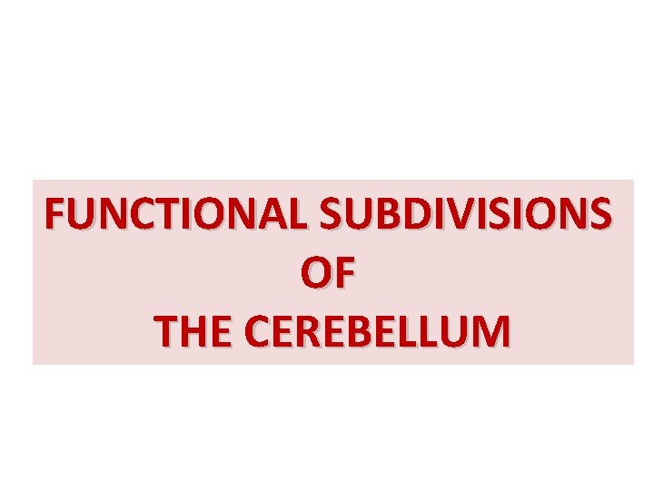 FUNCTIONAL SUBDIVISIONS OF THE CEREBELLUM 