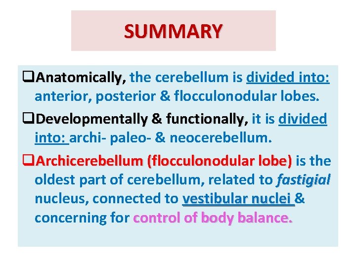 SUMMARY q. Anatomically, Anatomically the cerebellum is divided into: anterior, posterior & flocculonodular lobes.