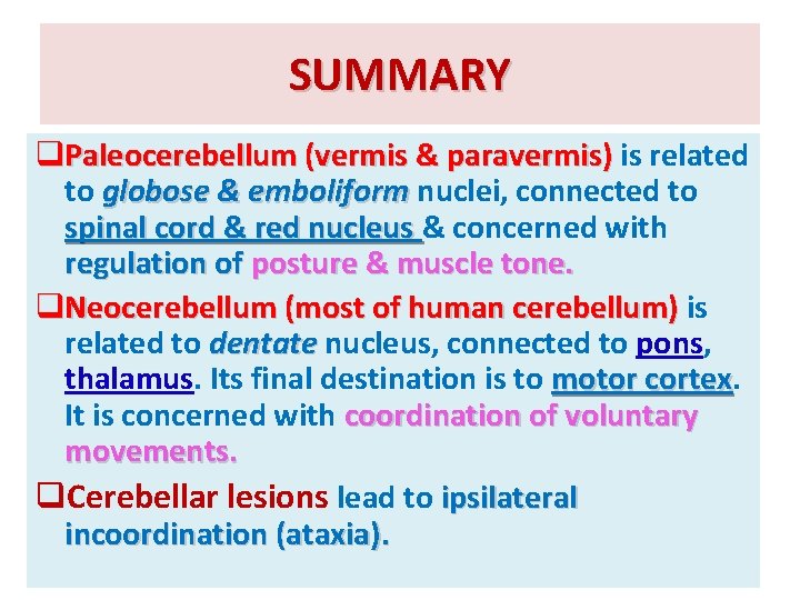 SUMMARY q. Paleocerebellum (vermis & paravermis) is related to globose & emboliform nuclei, connected